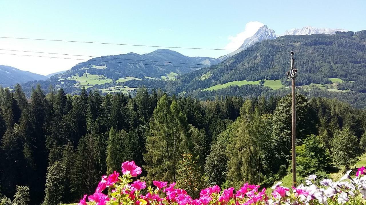 Ferienwohnungen Wimmer 比绍夫斯霍芬 外观 照片
